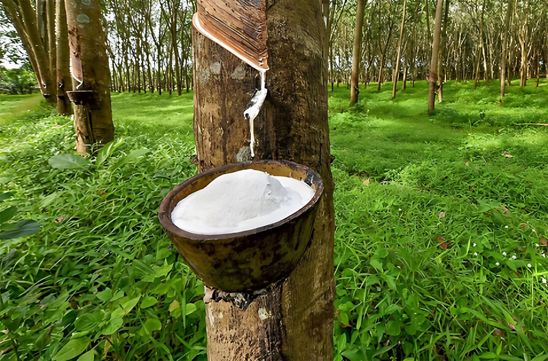 Circular Economy